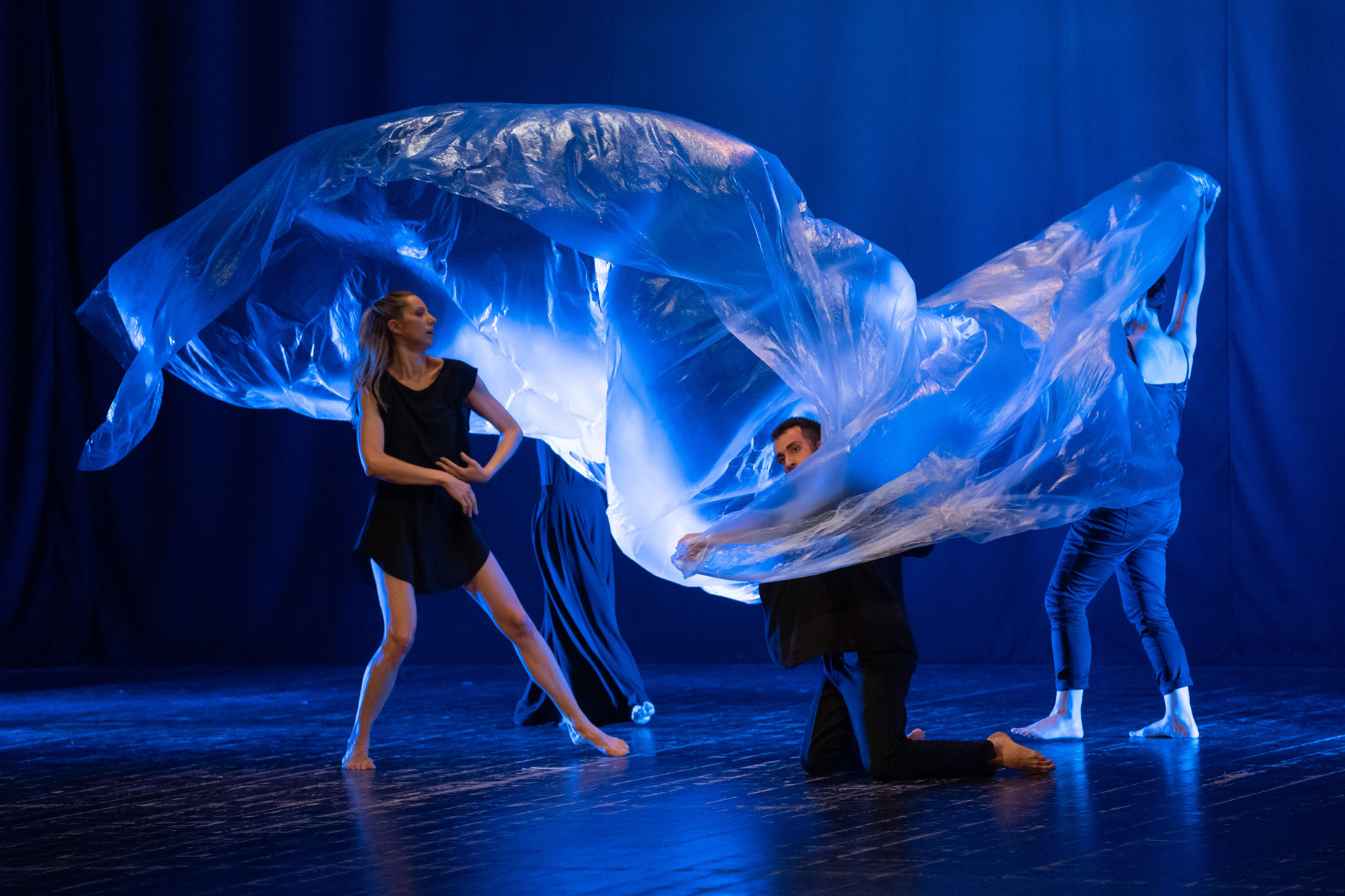 Corsi di teatro-danza e danza contemporanea per adulti a Portogruaro